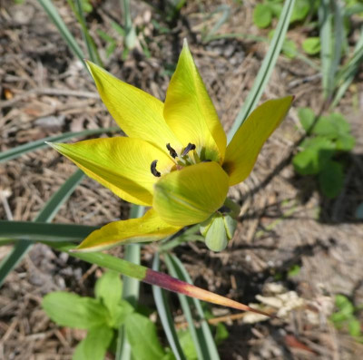 20190426_001416.jpg