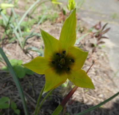 20190426_001439.jpg