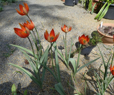 20190426_002457.jpg
