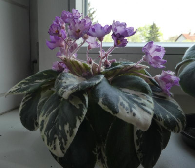 20190426_003542.jpg