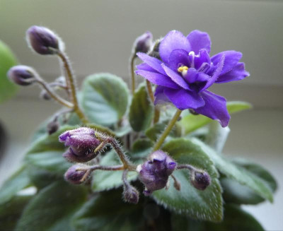 20190426_003522.jpg