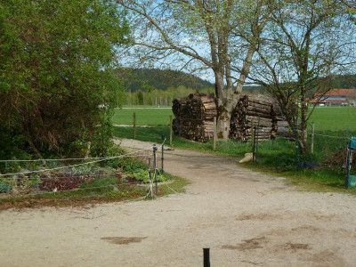 P1060994.JPG