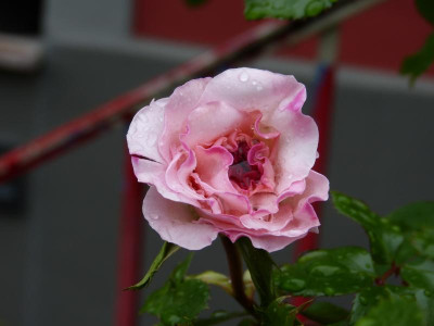 P1050651.JPG