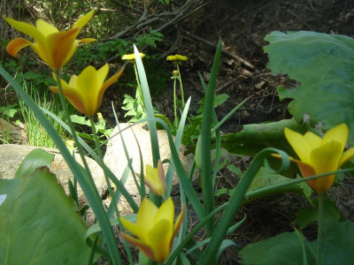 DSC06154.JPG
