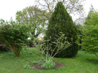 tg_190427_1.jpg
