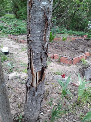 20190426_090538.jpg