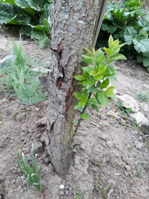 20190426_090548.jpg