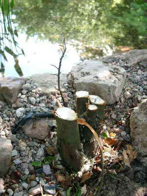 08080002.JPG
