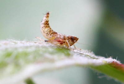 unb3062012_2.JPG