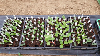20190427_102407.jpg