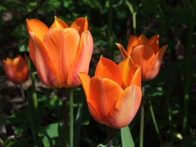 27.04.2019 15-52-25_8410.jpg