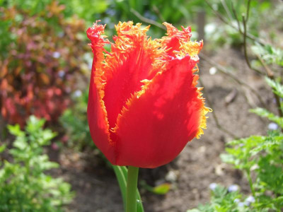 27.04.2019 15-55-02_8463.jpg