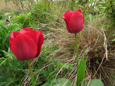 27.04.2019 15-55-26_8471.jpg