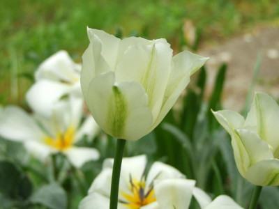 27.04.2019 15-56-39_8496.jpg