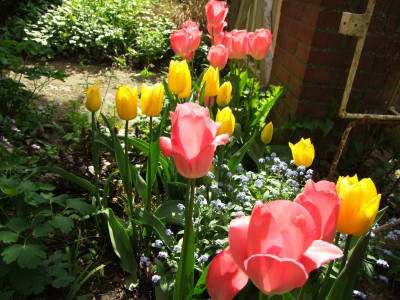 27.04.2019 15-57-06_8506.jpg