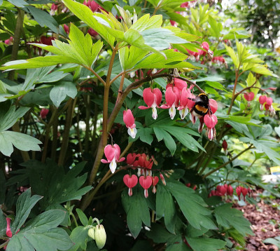 IMG_20190427_162227_800.jpg
