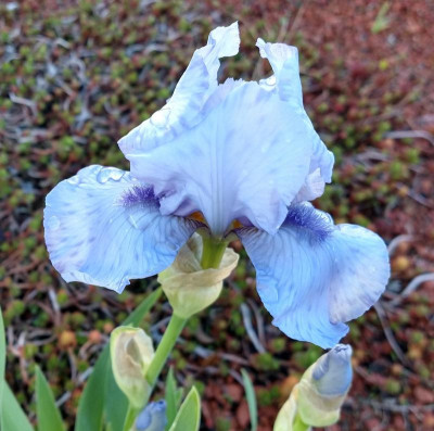 IMG_20190428_164546949_HDR~2.jpg