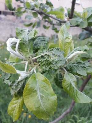 rps20190428_195150.jpg