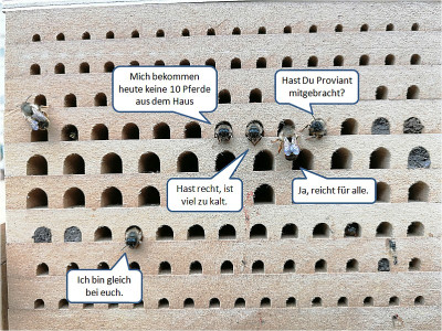 heute_am_bienenhaus.jpg