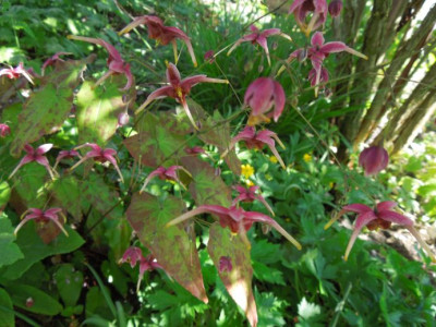 DSCN7297_klein.jpg