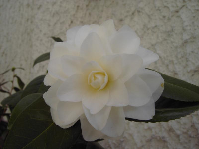 PICT2585.JPG
