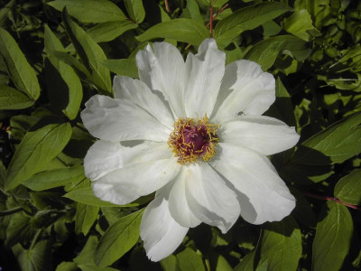 PICT2637.JPG