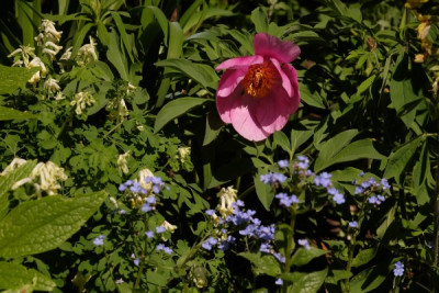 DSCF9151_3913.JPG