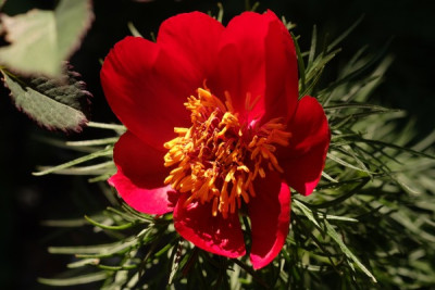 DSCF9160_3914.JPG