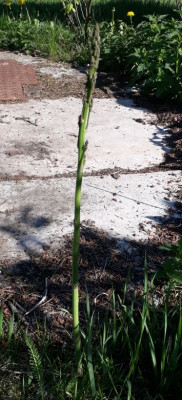rps20190430_205855.jpg