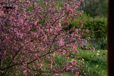 DSC_7553.JPG