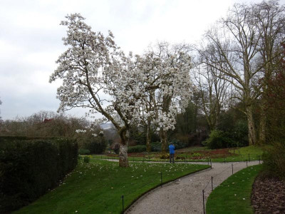 DSC04802-1.JPG