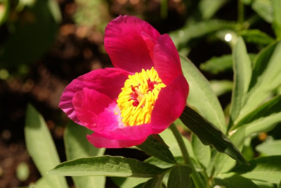 DSCF9142_3919.JPG