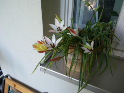 P1090443.JPG