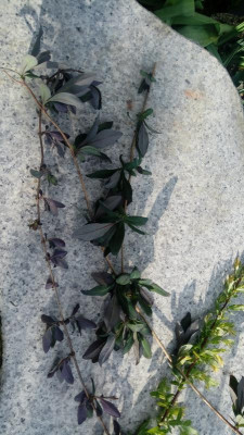 20190501_180628.jpg