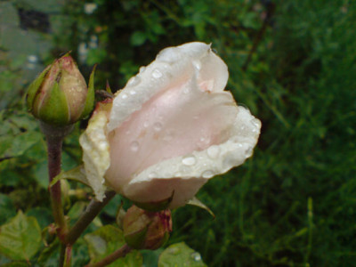 sdm_14_07.JPG