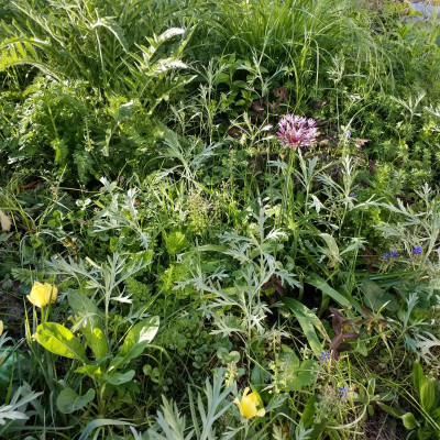 20190501_181611.jpg