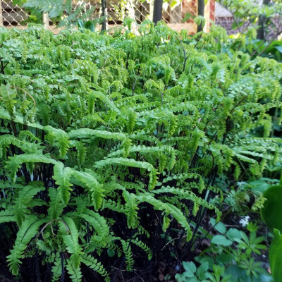 20190501_181739.jpg