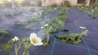 20190501_185338.jpg