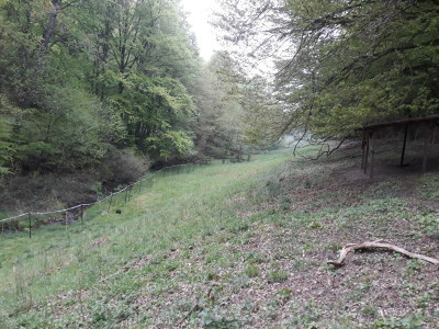 lummerke192.zäunung2.5.19.jpg