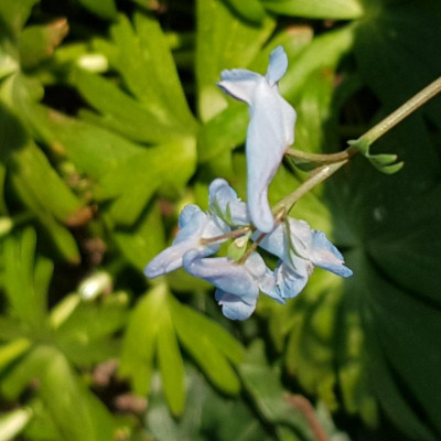 20190419_091542.jpg