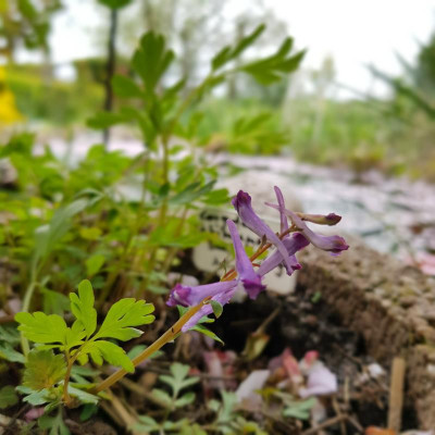 20190502_130247.jpg