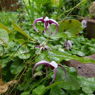 20190502_174903.jpg