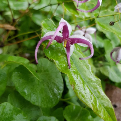 20190502_174918.jpg