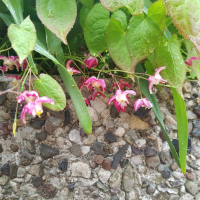 20190428_093646.jpg
