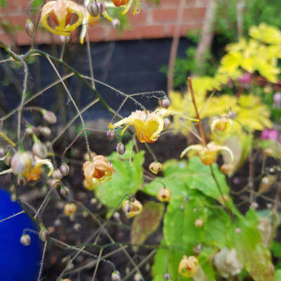 20190428_095401.jpg