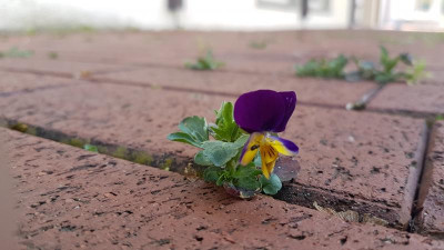 20190419_095237.jpg