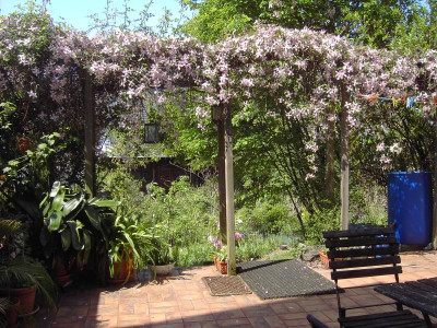 PICT2648.JPG