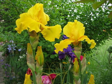 April_2007_062.jpg