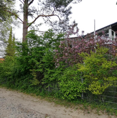 IMG_20190503_161828.jpg