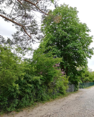 IMG_20190503_161907.jpg